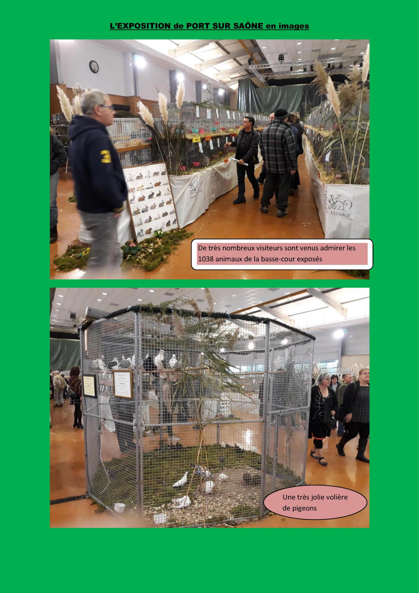 L exposition de port sur saone en images 1