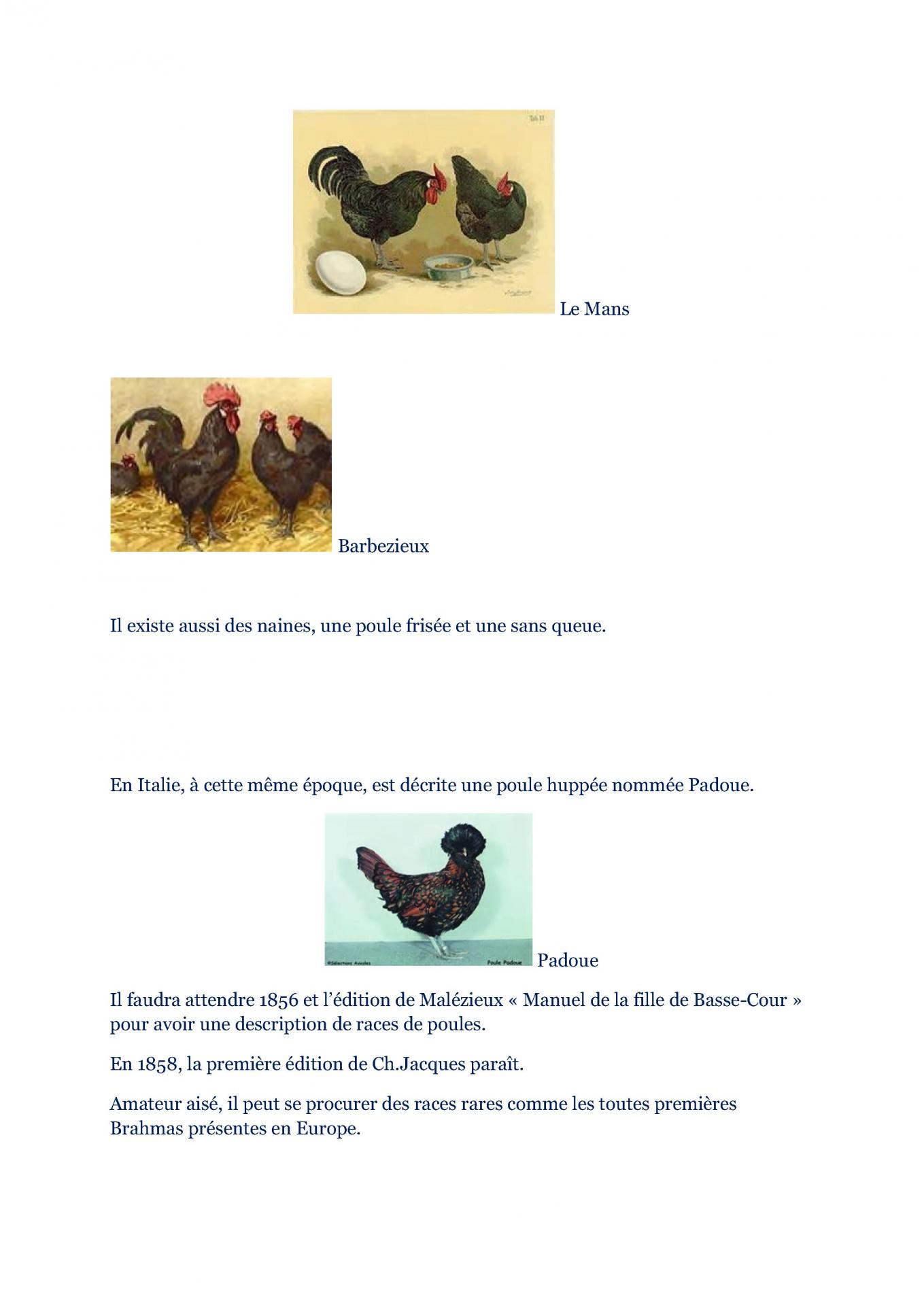Les poules 2
