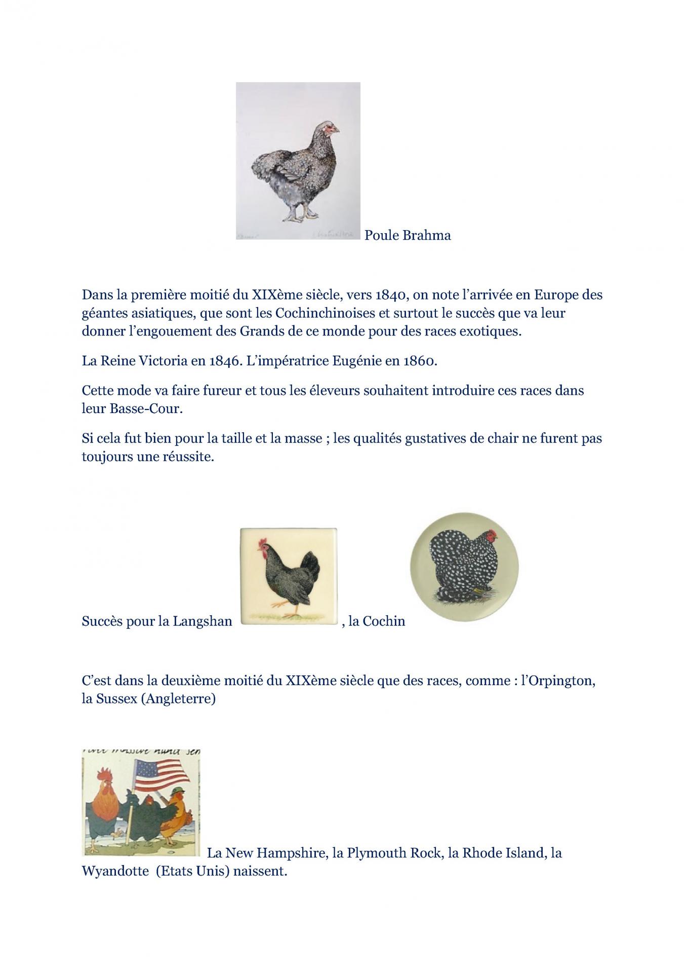 Les poules 3